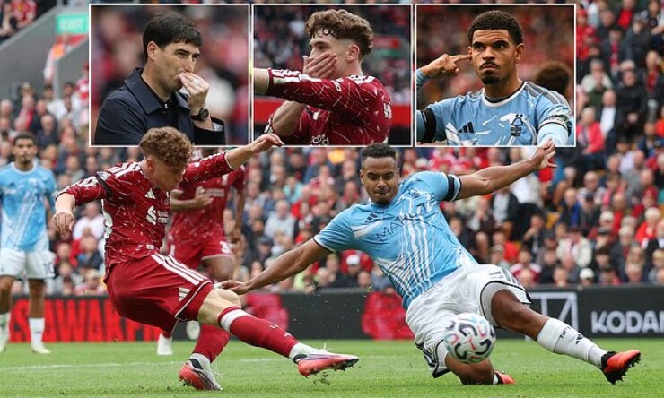Nóng bảng xếp hạng NHA: Liverpool - Tottenham sa lầy, "hiện tượng" Hull City bay cao - 1